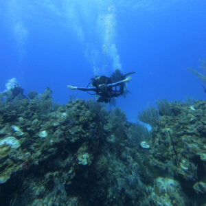 Mahahual Norte o Sur