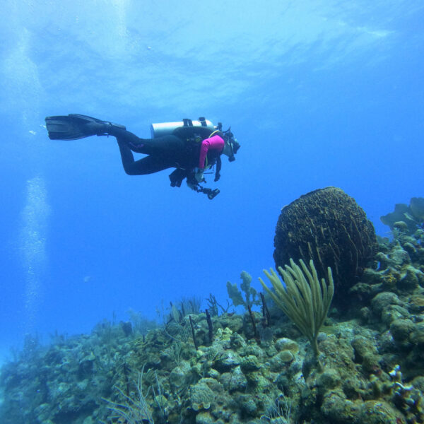 Mahahual Norte o Sur - Imagen 3