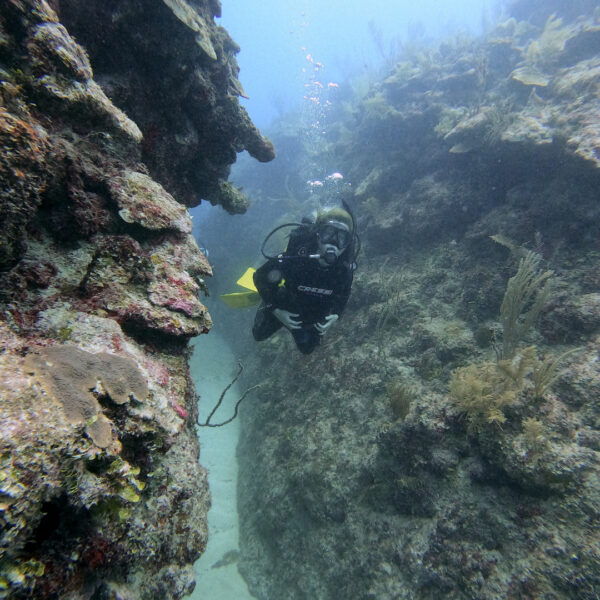 Mahahual Norte o Sur - Imagen 5
