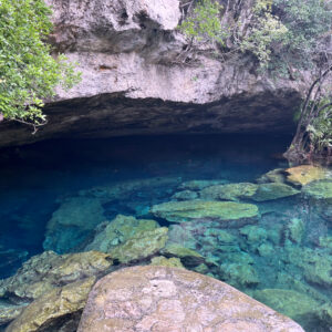 Buzo Cueva Apprentice