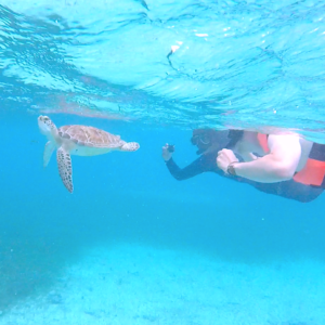 Mahahual Snorkel