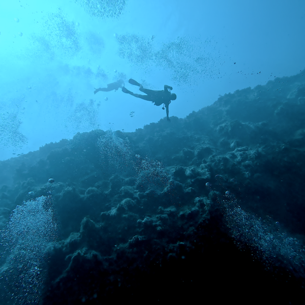 Caye Caulker, Belice - Imagen 3