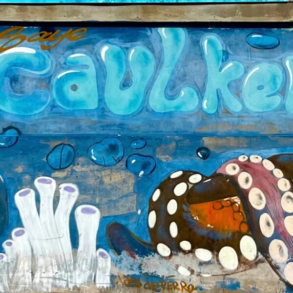 Caye Caulker, Belice - Imagen 6