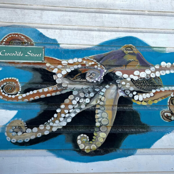 Caye Caulker, Belice - Imagen 7