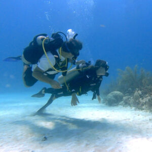 Dive Master 