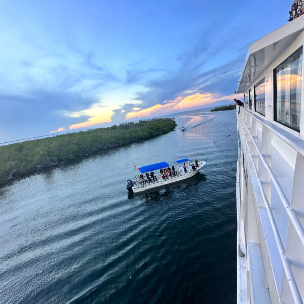 Jardines de la Reina, Cuba - Imagen 6