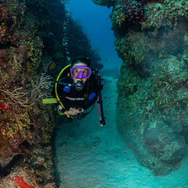 Jardines de la Reina, Cuba