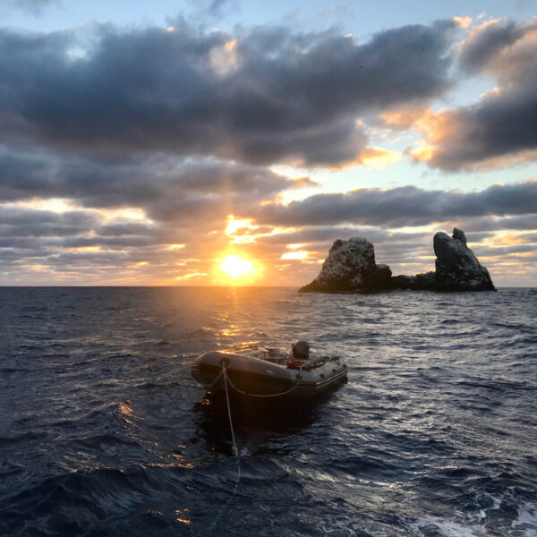Islas Revillagigedo
