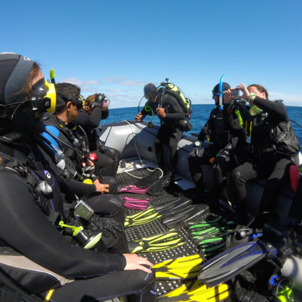 Islas Revillagigedo - Imagen 7