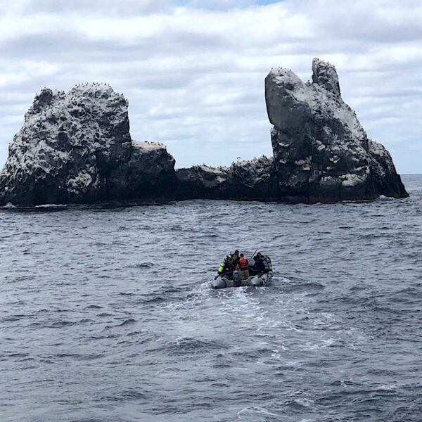 Islas Revillagigedo - Imagen 13