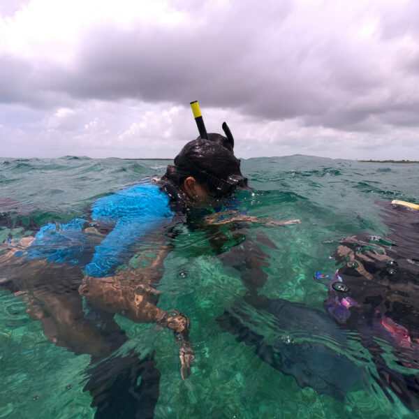 Xcalak Snorkel - Imagen 2
