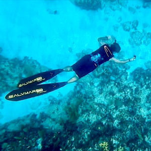 Xcalak Snorkel